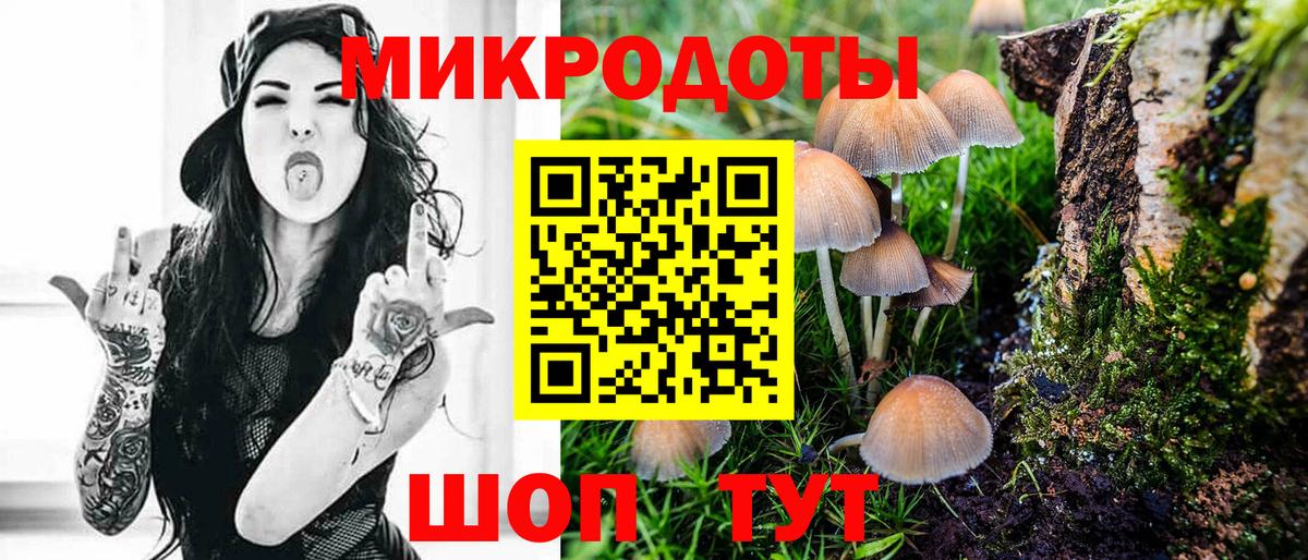 Скопин  Галлюциногенные грибы GOLDEN TEACHER  Галлюциногенные грибы Psilocybine cubensis  что такое наркотик  Вход с VPN 