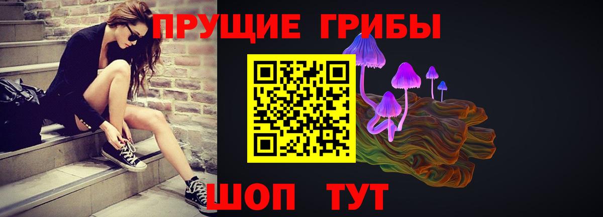 Галлюциногенные грибы Psilocybine cubensis Скопин